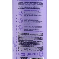 Шампунь для волос, с экстрактом жимолости и иван-чая, восстановление и рост, 410 мл, URAL LAB