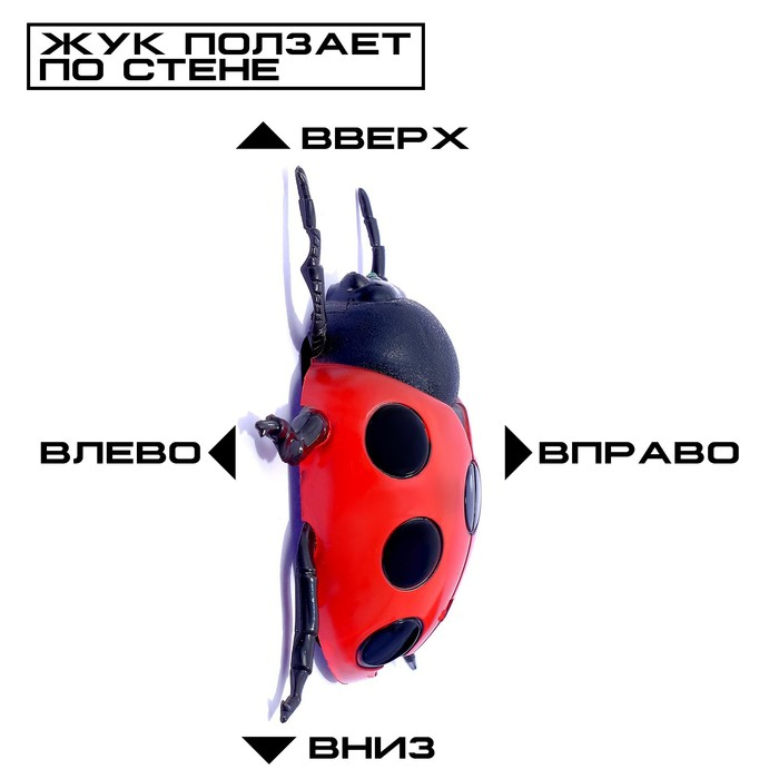 Жук на радиоуправлении &laquo;Божья коровка&raquo;, ползает по стене