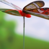 Штекер "Бабочка Верди" 20х14см/45см, набор 5шт, МИКС