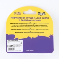 Игрушка для собак жевательная со ароматом корма &laquo;Медвежонок&raquo;, 9 х 4.5 см