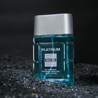 Туалетная вода мужская Platinum Water, 100 мл (по мотивам Blue Label (Givenchy) Туалетная вода мужская Platinum Water, 100 мл (по мотивам Blue Label (Givenchy)