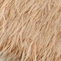 Тесьма с перьями страуса, 8-10 см, 5 ± 0,5 м, цвет слоновая кость Тесьма с перьями страуса, 8-10 см, 5 ± 0,5 м, цвет слоновая кость