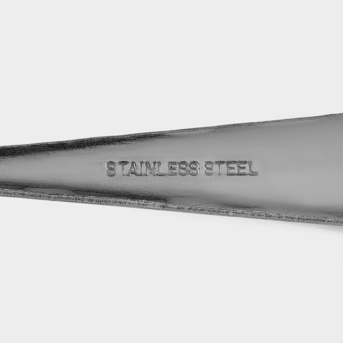 Ложки столовые из нержавеющей стали Доляна &laquo;Соты&raquo;, длина 20 см, толщина 2 мм, 6 шт, цвет серебряный