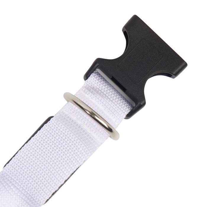 Ошейник с подсветкой Двойная полоса размер XL, ОШ 52-60 х 2,5 см, 3 режима свечения белый