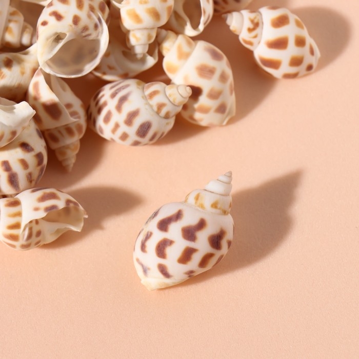 Ракушки природные декоративные "Бабилония" набор 100 гр