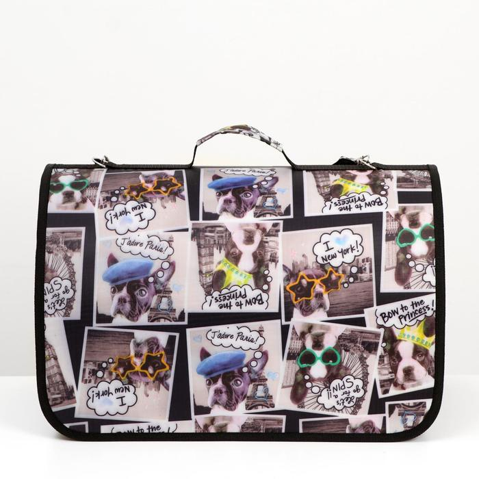 Сумка - переноска для животных с принтом, 46&times;28.5&times;30 см, цвет МИКС