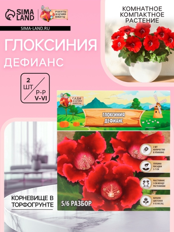 Глоксиния &laquo;Дефианс&raquo; многолетник, комнатный, луковица в пакете с перфорацией, р-р 5/6, 2 шт.