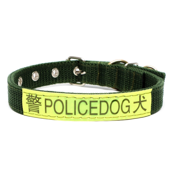 Ошейник двухслойный с вертлюгом, 2,5 см, зелёный Ошейник двухслойный с вертлюгом, 2,5 см, зелёный