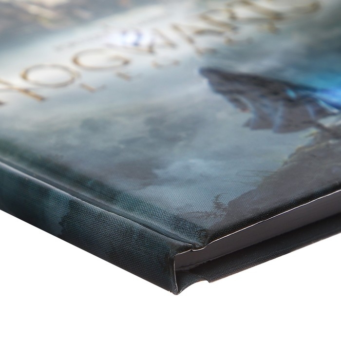 Записная книжка, А6, 48 листов, в клетку, Записная книжка, А6, 48 листов, в клетку, "Hogwarts Legacy. Гарри Поттер", глянцевая ламинация, блок офсет 60г/м2