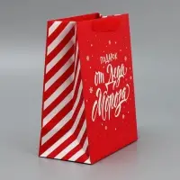 Набор новогодних пакетов &laquo;Новогодний подарок&raquo;