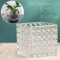 Кашпо "Оскар" квадратное, 10х10см Кашпо "Оскар" квадратное, 10х10см