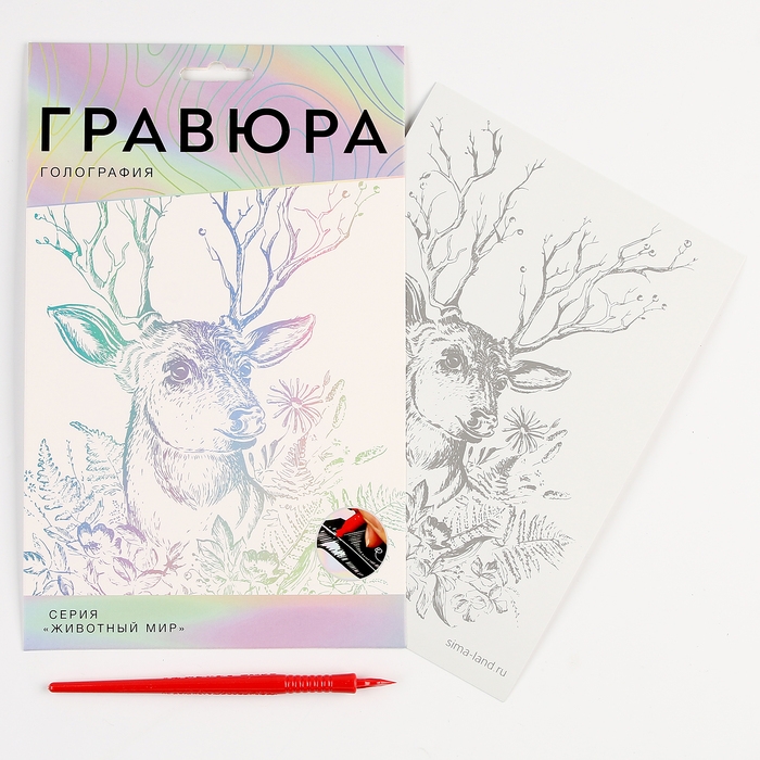 Гравюра. Набор гравюр &laquo;Звери&raquo;, А5, 4 шт