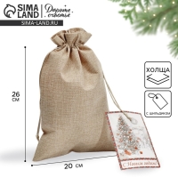 Мешок подарочный &laquo;Зима&raquo;, 20 х 30 см +/- 1.5 см
