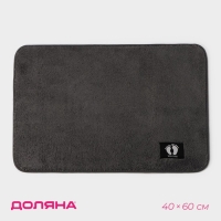 Коврик для дома Доляна &laquo;Искушение&raquo;, 40&times;60 см, цвет серый