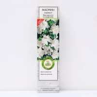 Жасмин садовый (Чубушник) "Миннесота Сноуфлэйк" 1 шт, туба, Весна 2025 Жасмин садовый (Чубушник) "Миннесота Сноуфлэйк" 1 шт, туба, Весна 2025