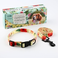 Набор &laquo;Цветы&raquo;, застёжка - фастекс, поводок 2 м и ошейник 28-46 см