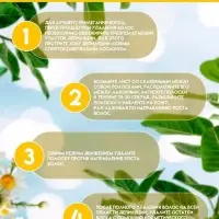 Восковые полоски Secret Beauty для депиляции лица, с ромашкой, 10 шт