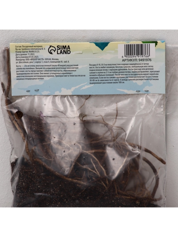 Хоста Canadian Blue, корневище в пакете с торфогрунтом, р-р I, размер SM,1 шт.