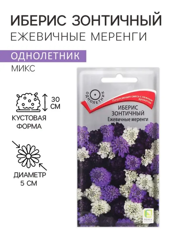 Семена цветов Иберис зонтичный "Ежевичные меренги", 0,1 г