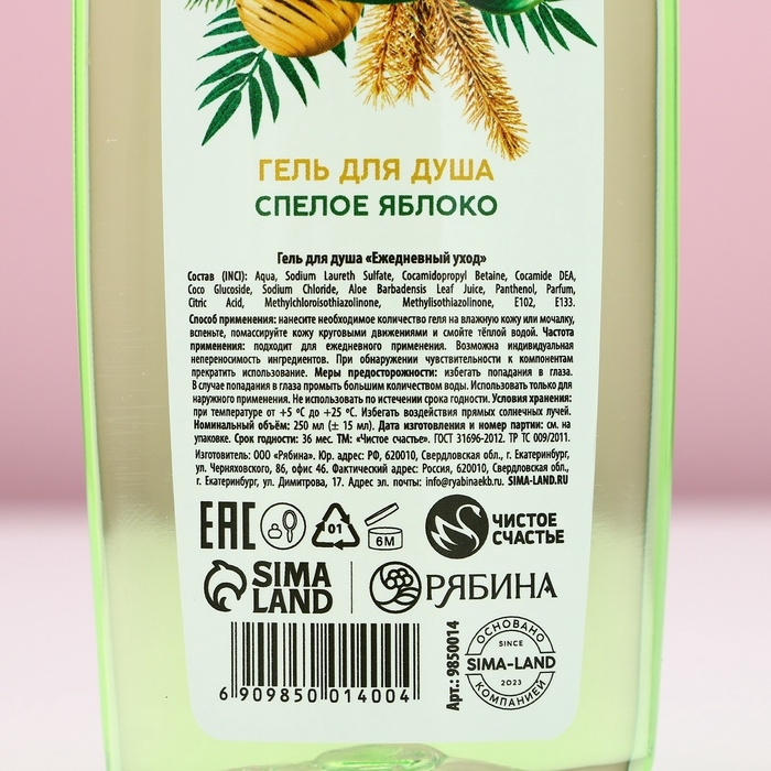 Подарочный набор косметики &laquo;Мечты обязательно сбудутся&raquo;, гель для душа и шампунь для волос, 2 х 250 мл, Новый Год