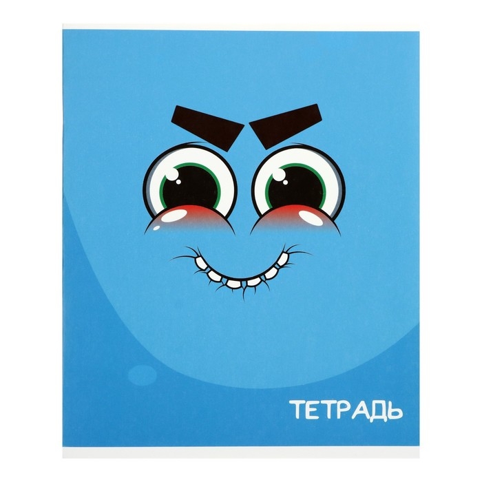 Комплект тетрадей из 10 штук (5 видов по 2 штуки), 48 листов в клетку Calligrata Комплект тетрадей из 10 штук (5 видов по 2 штуки), 48 листов в клетку Calligrata "Смайлики", обложка мелованный картон, блок офсет