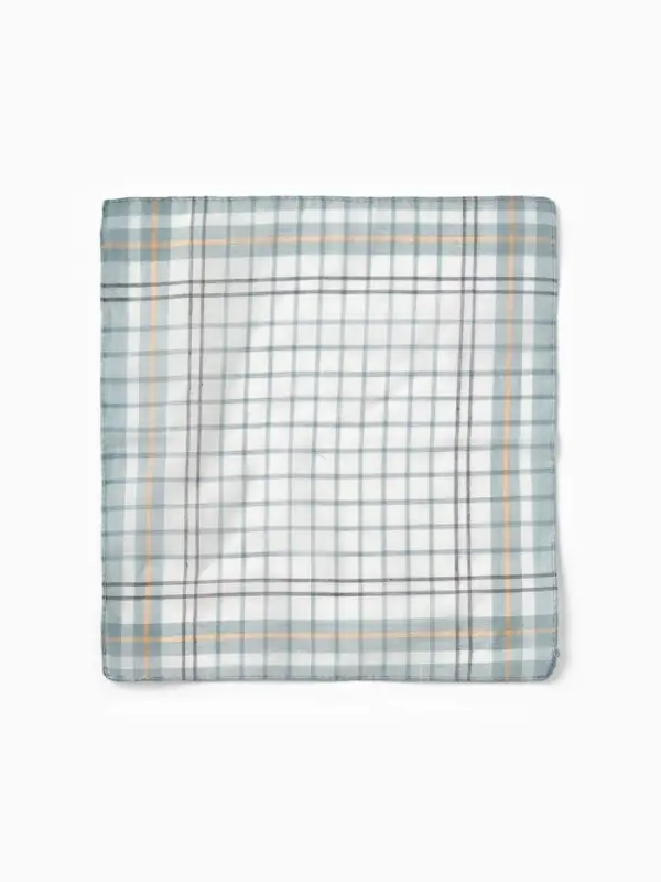 Платки носовые мужские Экономь и Я "Квадрат" 38*38 см, (набор 10 шт), рис. МИКС,100% пэ