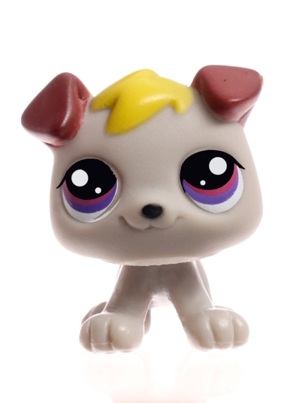 Набор игрушек "Crazy Pets" 10 шт МИКС