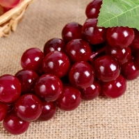 Муляж "Виноград глянец" 45 ягод 18 см, микс Муляж "Виноград глянец" 45 ягод 18 см, микс