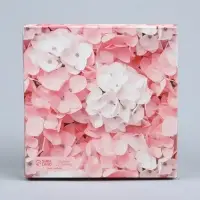 Коробка для печенья, кондитерская упаковка с пластиковой крышкой, Present, 10.5 х 10.5 х 3 см