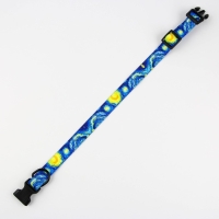 Ошейник «Искусство», застёжка - фастекс, 2.5 см, 40-55 см Ошейник «Искусство», застёжка - фастекс, 2.5 см, 40-55 см