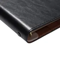 Органайзер на кольцах, C6, с хлястиком, 80л, линия, к/зам, Черный