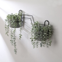 Подвес для кашпо, настенный, на 2 горшка, d=16 см, чёрный, &laquo;Волна - 2&raquo;