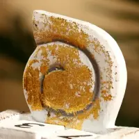 Календарь настольный &laquo;Ракушка&raquo;, 10&times;7&times;5.4 см, дерево, белый