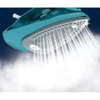 Паровой утюг Express Steam FV2867E0, с автоотключением