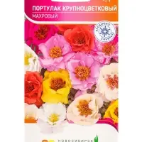 Семена Портулак Крупноцветковый Махровый 0,1 г