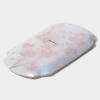 Блюдо сервировочное стеклянное Доляна &laquo;Сакура&raquo;, 23,8&times;13,8 см