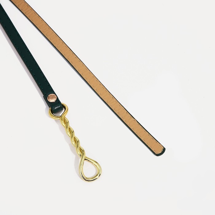 Ремень женский, ширина 1 см, пряжка металл, цвет зелёный