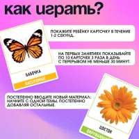 Развивающий набор &laquo;200 слов&raquo;, учимся и развиваемся, по методике Глена Домана