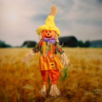 Огородное пугало &laquo;Тыква&raquo;, h = 100 см, МИКС. Greengo