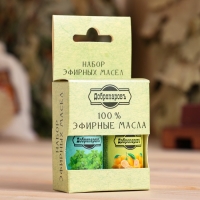 Набор эфирных масел лимон, мята "Добропаровъ", 2 шт по 17 мл Набор эфирных масел лимон, мята "Добропаровъ", 2 шт по 17 мл