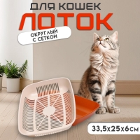 Туалет перламутровый округлый с сеткой 33,5 х 25 х 6 см, золотисто-бежевый Туалет перламутровый округлый с сеткой 33,5 х 25 х 6 см, золотисто-бежевый