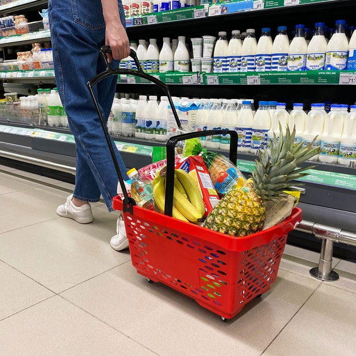 Корзина-тележка на 4 колесах пластиковая, 28 л, с 2 пластиковыми ручками, цвет красный Корзина-тележка на 4 колесах пластиковая, 28 л, с 2 пластиковыми ручками, цвет красный