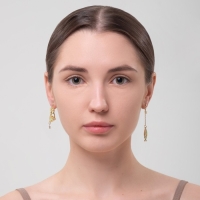 Серьги эмаль «Ночь» кот и рыбка, цветные в золоте Серьги эмаль «Ночь» кот и рыбка, цветные в золоте