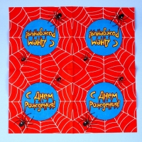 Набор для праздника &laquo;С днём рождения. Паутина&raquo;