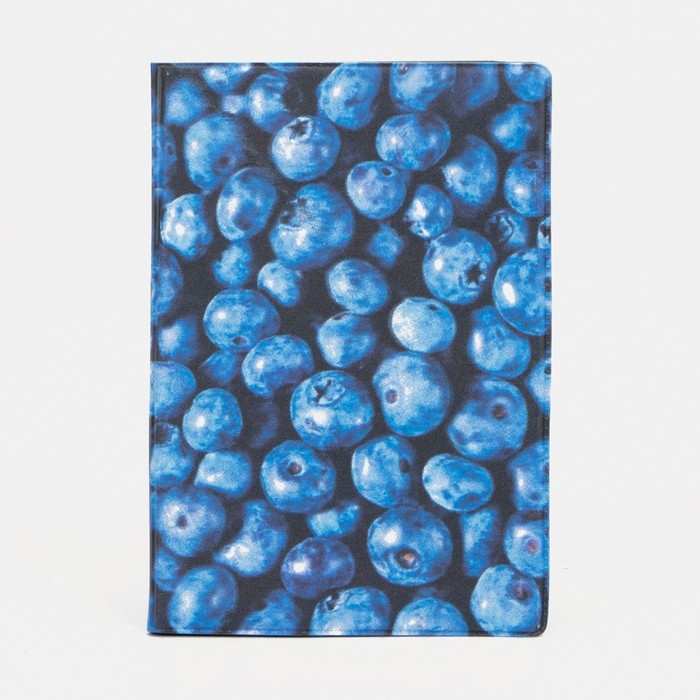 Обложка для паспорта, цвет синий