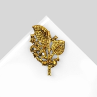 Брошь &laquo;Листва&raquo; весенняя, цвет красный в чернёном золоте