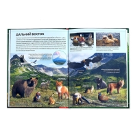 Детская энциклопедия в твёрдом переплёте &laquo;Животные России&raquo;, 48 стр.