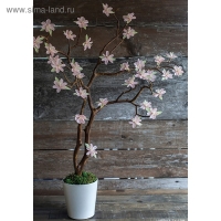 Бумага гофрированная, 948 "Бледно-розовая (камелия)", 50 см х 2,5 м Бумага гофрированная, 948 "Бледно-розовая (камелия)", 50 см х 2,5 м