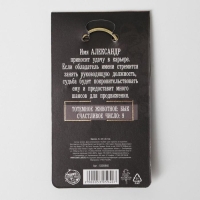 Брелок для ключей , металлический, талисман &laquo;Александр&raquo; латунь, 3 х 3,5 х 2,5 см