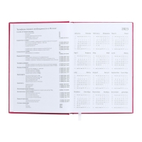 Ежедневник датированный 2024 года, А5, 176 листов, Attomex.Even, обложка бумвинил, ляссе, блок 70 г/м2, розовый